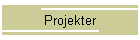 Projekter