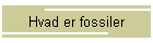Hvad er fossiler